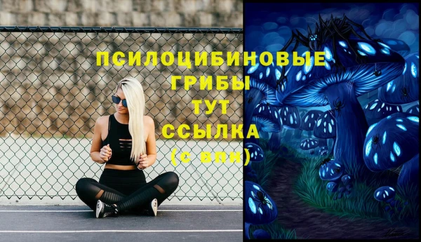 СК Заводоуковск