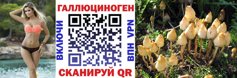 Галлюциногенные грибы мухоморы блэк спрут онион Ивдель